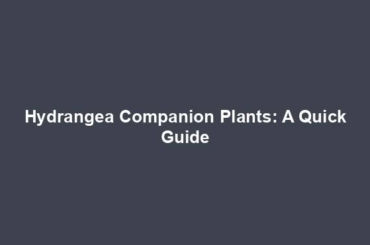 Hydrangea Companion Plants: A Quick Guide