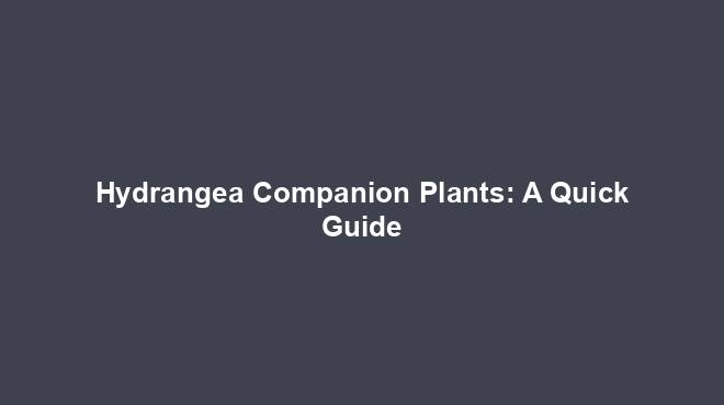 Hydrangea Companion Plants: A Quick Guide