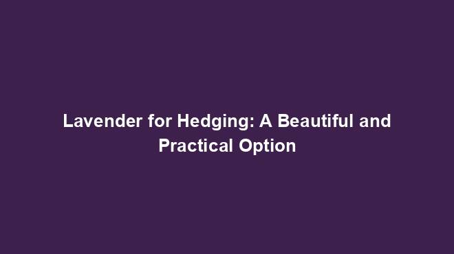 Lavender for Hedging: A Beautiful and Practical Option