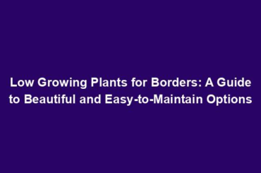 Low Growing Plants for Borders: A Guide to Beautiful and Easy-to-Maintain Options