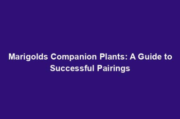 Marigolds Companion Plants: A Guide to Successful Pairings