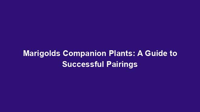 Marigolds Companion Plants: A Guide to Successful Pairings