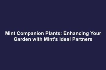 Mint Companion Plants: Enhancing Your Garden with Mint's Ideal Partners