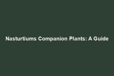 Nasturtiums Companion Plants: A Guide