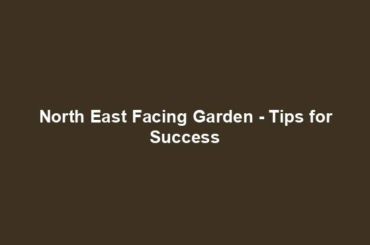 North East Facing Garden - Tips for Success