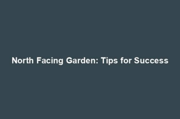 North Facing Garden: Tips for Success