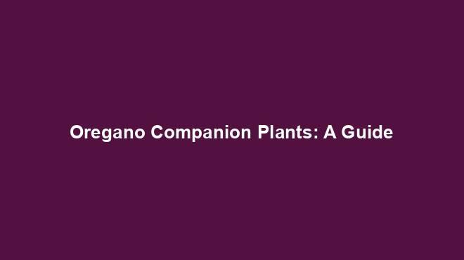 Oregano Companion Plants: A Guide