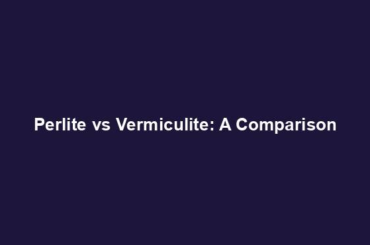 Perlite vs Vermiculite: A Comparison