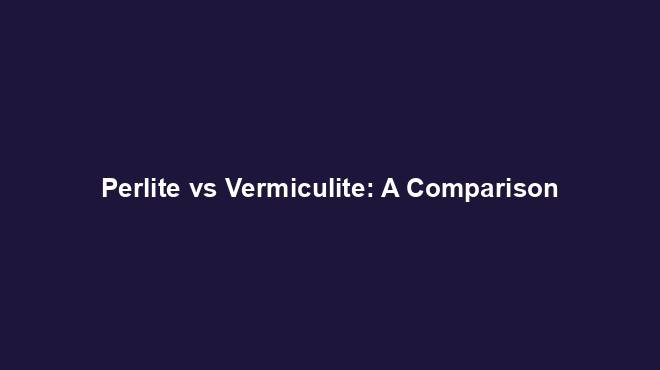Perlite vs Vermiculite: A Comparison