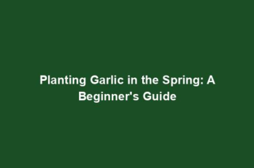 Planting Garlic in the Spring: A Beginner's Guide