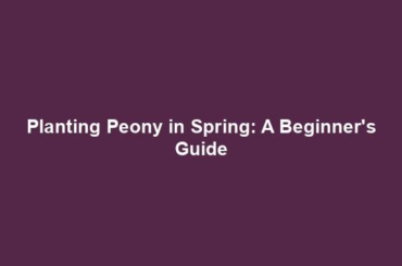 Planting Peony in Spring: A Beginner's Guide