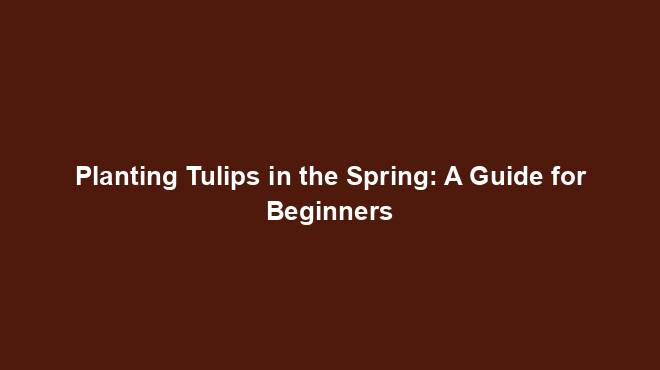 Planting Tulips in the Spring: A Guide for Beginners