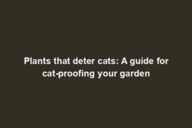 Plants that deter cats: A guide for cat-proofing your garden