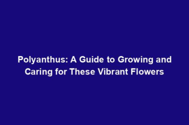 Polyanthus: A Guide to Growing and Caring for These Vibrant Flowers