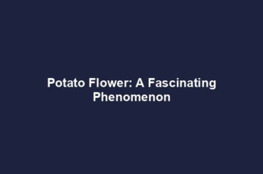 Potato Flower: A Fascinating Phenomenon