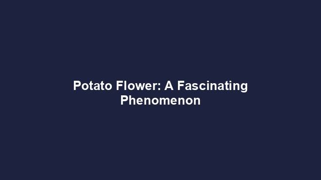 Potato Flower: A Fascinating Phenomenon
