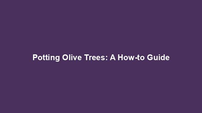 Potting Olive Trees: A How-to Guide