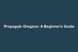 Propagate Oregano: A Beginner's Guide