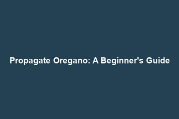 Propagate Oregano: A Beginner's Guide