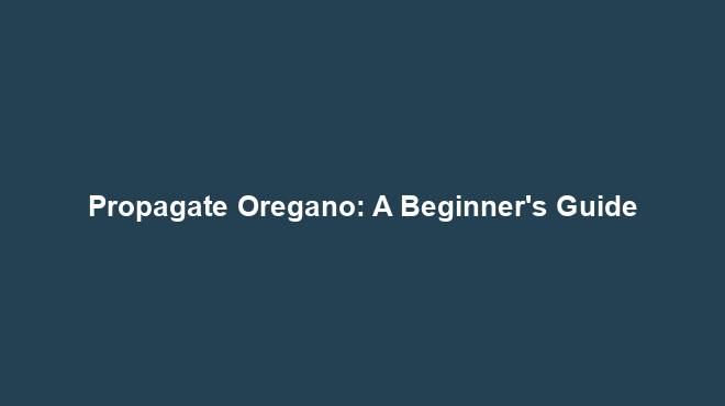 Propagate Oregano: A Beginner's Guide