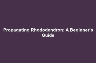 Propagating Rhododendron: A Beginner's Guide