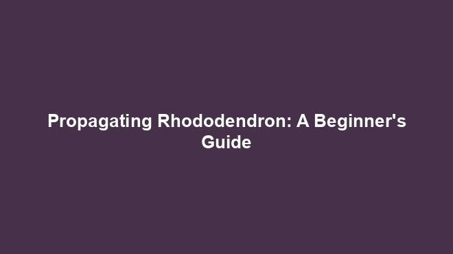 Propagating Rhododendron: A Beginner's Guide