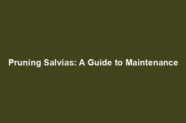 Pruning Salvias: A Guide to Maintenance