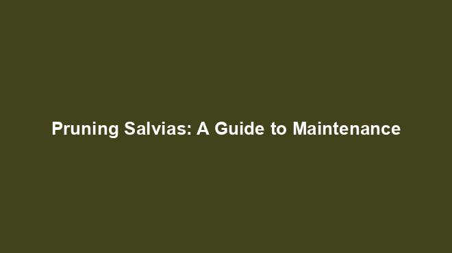 Pruning Salvias: A Guide to Maintenance