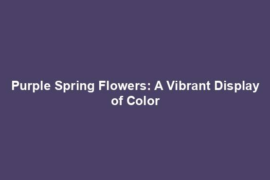 Purple Spring Flowers: A Vibrant Display of Color