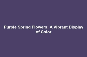 Purple Spring Flowers: A Vibrant Display of Color