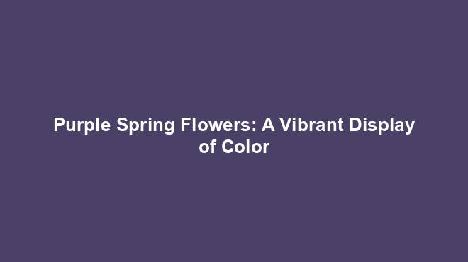 Purple Spring Flowers: A Vibrant Display of Color