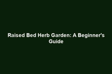 Raised Bed Herb Garden: A Beginner's Guide