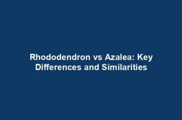 Rhododendron vs Azalea: Key Differences and Similarities