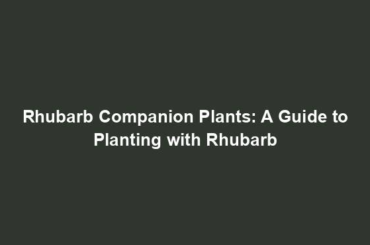 Rhubarb Companion Plants: A Guide to Planting with Rhubarb