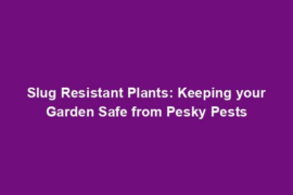 Slug Resistant Plants: Keeping your Garden Safe from Pesky Pests