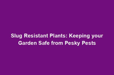 Slug Resistant Plants: Keeping your Garden Safe from Pesky Pests