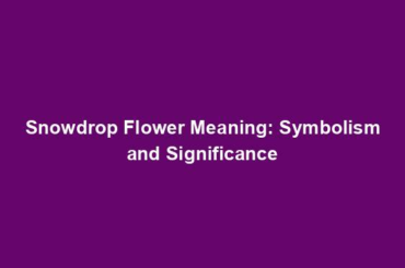 Snowdrop Flower Meaning: Symbolism and Significance