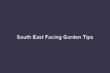 South East Facing Garden Tips