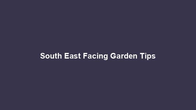 South East Facing Garden Tips