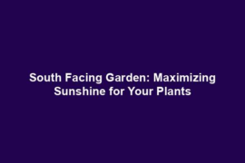 South Facing Garden: Maximizing Sunshine for Your Plants