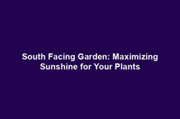 South Facing Garden: Maximizing Sunshine for Your Plants