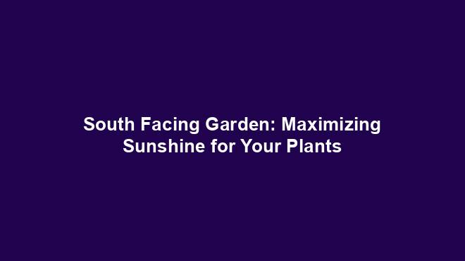 South Facing Garden: Maximizing Sunshine for Your Plants