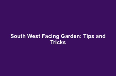 South West Facing Garden: Tips and Tricks