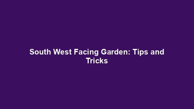 South West Facing Garden: Tips and Tricks