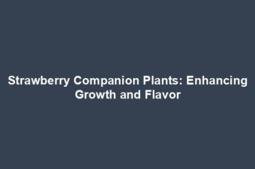 Strawberry Companion Plants: Enhancing Growth and Flavor