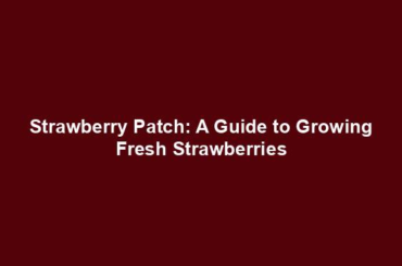 Strawberry Patch: A Guide to Growing Fresh Strawberries