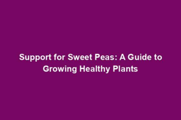 Support for Sweet Peas: A Guide to Growing Healthy Plants