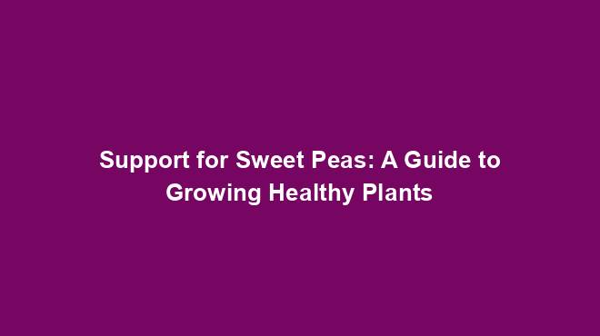 Support for Sweet Peas: A Guide to Growing Healthy Plants