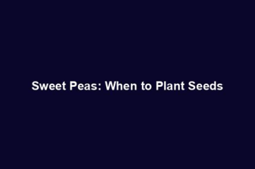 Sweet Peas: When to Plant Seeds