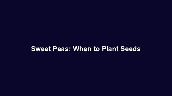 Sweet Peas: When to Plant Seeds